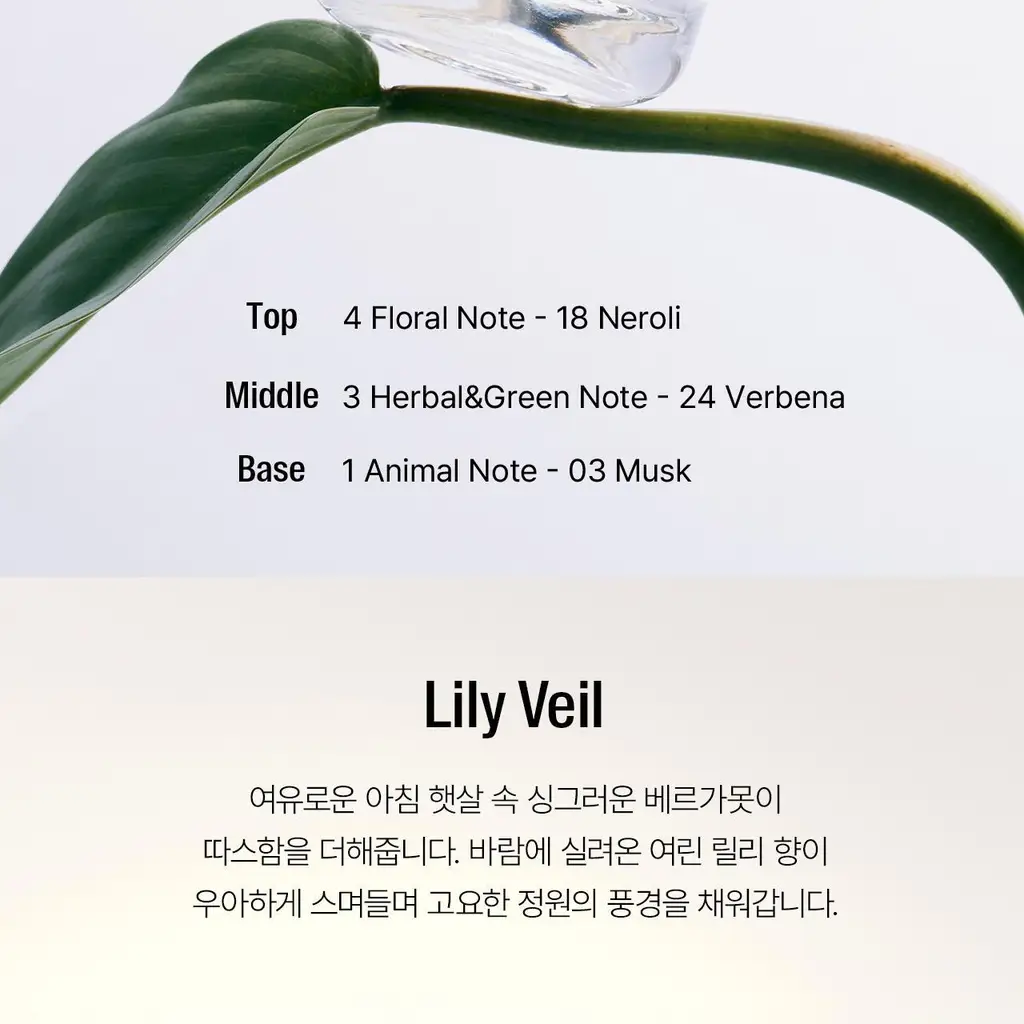 [에탄올 FREE] 에이딕트 헤어퍼퓸 30ml (단품/기획) 상세페이지 10